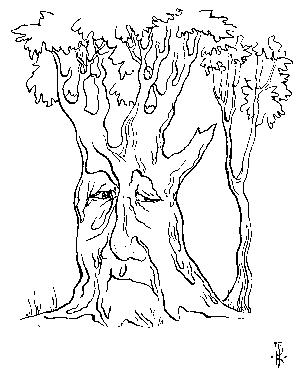 I essi ontarimbeo nar andi. = The names of the tree-folk are long.